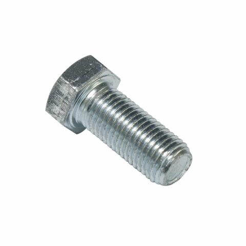 parafuso cinto fixo (1)