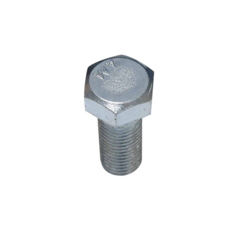 parafuso cinto fixo (2)