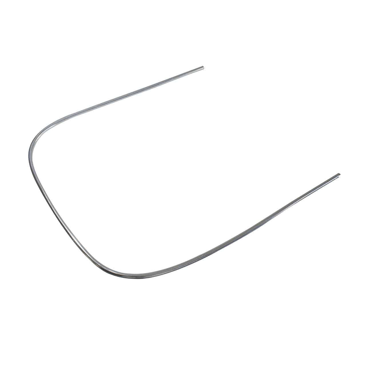 vigia fusca (1)