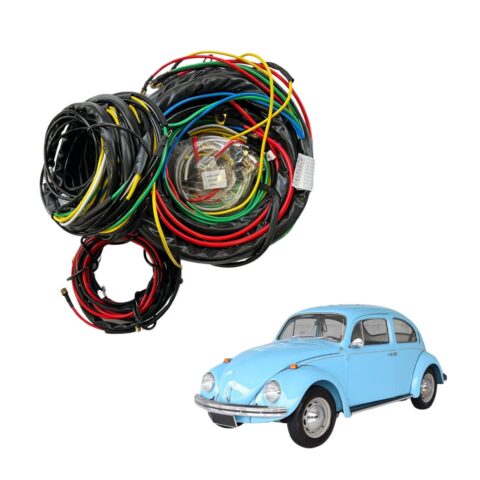 CHICOTE FUSCA (14)