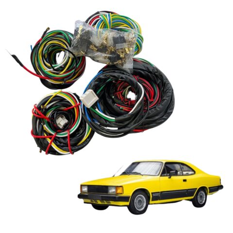 CHICOTE OPALA (3)